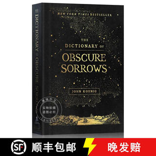 In stock the dictionary of obscure sorrows