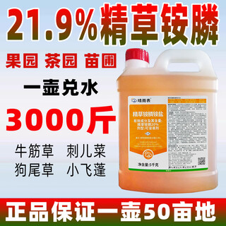Barometer 21.9% pure glufosinate ammonium salt herbicide genuine pure glufosinate ammonium salt orchard tea garden wasteland herbicide 1kg*1 bottle free 10 bags of synergist