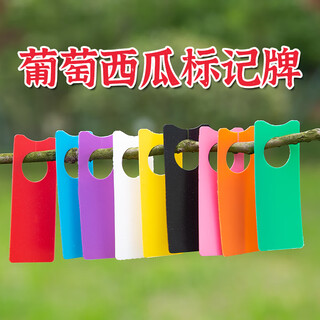 奔新农（BENXINNONG）葡萄西瓜授粉记号牌标记牌色卡塑料卡彩色标签挂牌分类不褪色HXM1 混色4000片(发4色各1000)