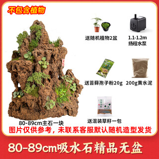 High-quality water-absorbing stone bonsai fish pond rockery micro-landscape decoration natural rockery stone landscaping raw stone high-quality 80-89cm water-absorbing stone without basin