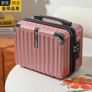 GIOIO德国进口品质新款时尚14寸手提化妆包女小型行李箱便携旅行收纳箱 玫瑰金 【防撞铝包角】 14寸【升级版+带密码锁】