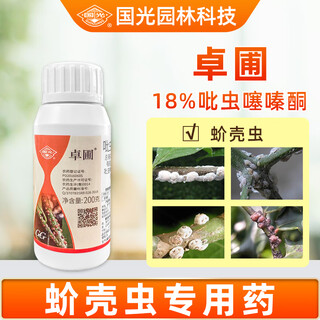 Guoguang zhuopu 18% imidaclofenazinone scale insect scale insect flower vegetable fruit tree plant pesticide insecticide 200g