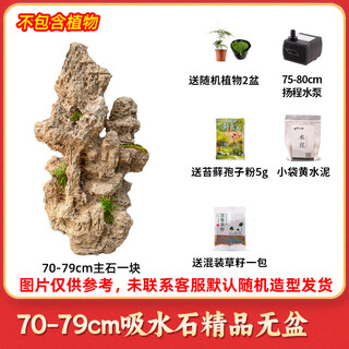 High-quality water-absorbing stone bonsai fish pond rockery micro-landscape decoration natural rockery stone landscaping raw stone high-quality 70-79cm water-absorbing stone without basin