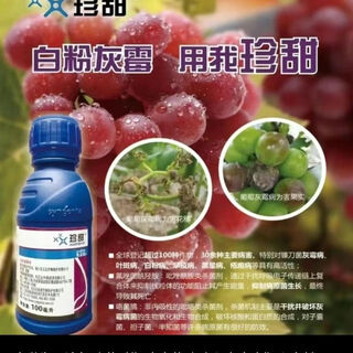Syngenta zhentian syngenta triflufenac hydroxylamine fludioxonil leaf spot scab target spot powdery mildew pesticide fungicide 100 ml 1 bottle
