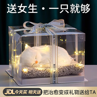 Bei chuzhong 2025 new birthday gift for girlfriend, wife, best friend, cat practical ornaments, creative high-value gift box, persian cat, exquisite gift box + light string + handbag, audio version, turn healing into a gift for him