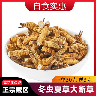 Cordyceps cordyceps cordyceps cordyceps cordyceps cordyceps cordyceps cordyceps cordyceps cordyceps cordyceps cordyceps cordyceps cordyceps cordyceps cordyceps cordyceps cordyceps cordyceps cordyceps cordyceps cordyceps cordyceps cordyceps cordyceps cordyceps cordyceps cordyceps cordyceps cordyceps cordyceps cordyceps cordyceps cordyceps cordyceps cordyceps cordyceps cordyceps cordyceps cordyceps cordyceps cordyceps cordyceps cordyceps cordyceps cordyceps cordyceps cordyceps cordyceps cordyceps cordyceps cordyceps cordyceps cordyceps cordyceps cordyceps cordyceps cordyceps cordyceps cordyceps cordyceps cordyceps cordyceps cordyceps cordyceps