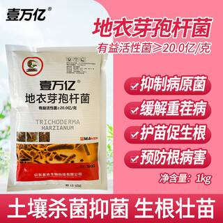 蒂花妍地衣芽孢杆菌农用微生物菌剂大田药材改良土壤促进生根菌肥水溶肥