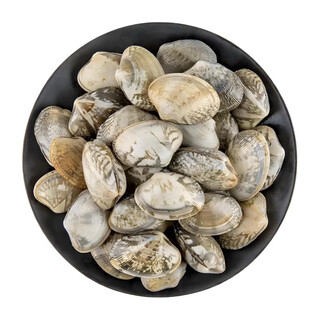 Fresh clams 350g (35-45 capsules)