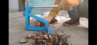 Northeast pecan special opener shell breaker pecan pressing machine artifact wild walnut pliers smashing tool