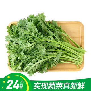 24-hour dish artemisia stems 300g