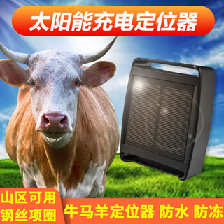 4g cattle, sheep and horse solar gps locator anti-freeze beidou gps tracking cattle grazing mountain locator 10,000 mah rechargeable = waterproof + 1 year flow