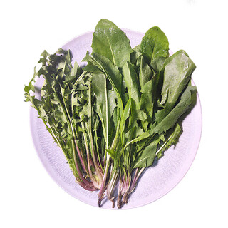 Shan ye xun xian dandelion (mother-in-law ding) 150g