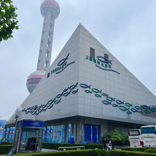 Available on the same day: shanghai ocean aquarium one-day ticket + electronic visitor guide one-day tour shanghai ocean aquarium adult ticket for 1 person