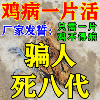 Chicken medicine, special effect for all diseases, chicken medicine, one piece for chickens, ducks and geese, life-saving chicken medicine, special medicine for chicken diarrhea and cold medicine, one bottle, first aid pill