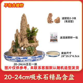 High-quality water-absorbing stone bonsai fish pond rockery micro-landscape decoration natural rockery stone landscaping raw stone high-quality 20-24cm water-absorbing stone with basin