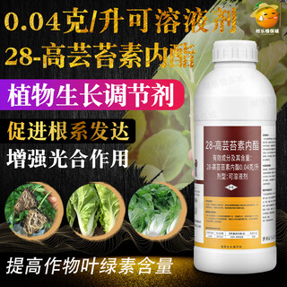Bangsec 0.04g/l 28-high brassinolide rooting and seedling strengthening, quality improvement, flowering and fruit stabilization plant growth regulator 1000ml