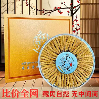 高海拔冬虫夏草正品头期干货虫草3根/克  2根/克多种规格高档礼盒 那曲虫草3根一克100条送同款3根