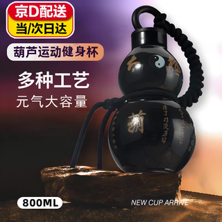 Feiyuejia sports water bottle, carryable gourd water cup, creative trendy gift for boys and girls, large capacity, outdoor portable gift, shadow black-tai chi stickers-diagonal rope 800ml