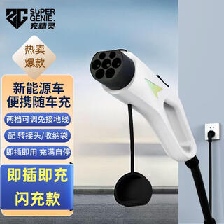 Charging elf new energy vehicle on-board charging gun portable household universal type suitable for geely xingyuan wuling hongguang xiaomi su7 tesla ideal zero-run without grounding wire on-board charging gun 3.5kw two-speed adjustable 5 meters long self-stop when full, no need for grounding 99% slow charging port universal