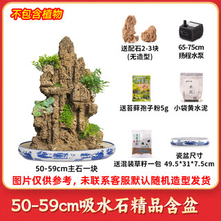 High-quality water-absorbing stone bonsai fish pond rockery micro-landscape decoration natural rockery stone landscaping raw stone high-quality 50-59cm water-absorbing stone with basin