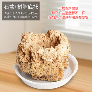 Stone flowerpot with water-absorbing stone, raw stone, natural flowerpot with asparagus, bamboo, calamus, succulents, micro-landscape pot, 10-12cm stone pot + round bottom bracket