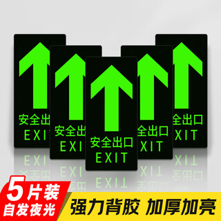 Aimohui safety exit floor stickers with luminous warning signs, fire evacuation instructions safety 29*14.5cm 5 pieces