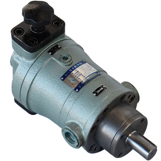 Baoweixia low-pressure oil pump xtgb-b125 - purchased as a complete set with connecting plate and motor