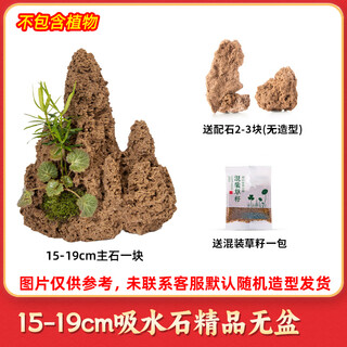 High-quality water-absorbing stone bonsai fish pond rockery micro-landscape decoration natural rockery stone landscaping raw stone high-quality 15-19cm water-absorbing stone without basin