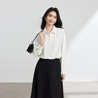 Lady bird white shirt, women's professional attire, high-end interview formal top, small man's daily commuting inner long-sleeved shirt