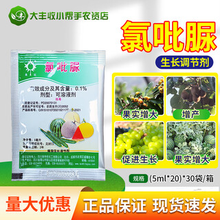 Guowang sichuan shiteyou guowang 0.1% chlorfenuron melon, fruit and loquat fruit regulator fruit plant growth regulator 100ml (5ml*20 bags)