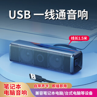 SADA赛达电脑音响笔记本家用台式机迷你小音箱一线通USB外接有源有线小型喇叭大音量2.0低音炮V-168