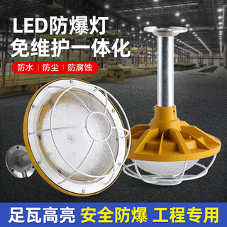 Deyan led explosion-proof lamp explosion-proof factory workshop lighting warehouse lamp special gas station lamp high-bright explosion-proof chandelier white light-100w