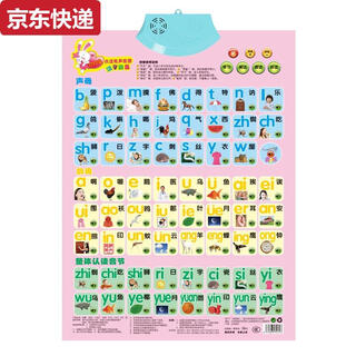 两雪有声挂图拼音儿童启蒙早教认知发声墙贴宝宝语音识字卡0-6岁玩具 乳白色