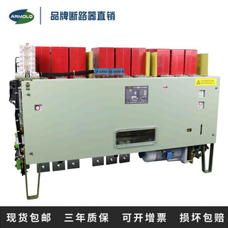 DW15630A1000A1600A2500A4000A式断路器热磁式欠压 DW151000A 380V