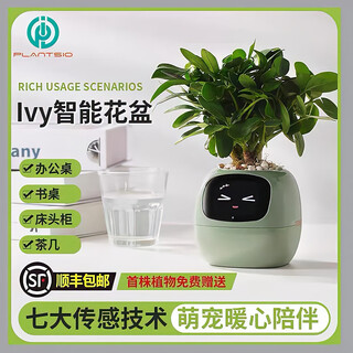 IVY smart flowerpot robot emotional green plant desktop pet decorations for boys and girls birthday gifts 61 Children's Day Green + send plants