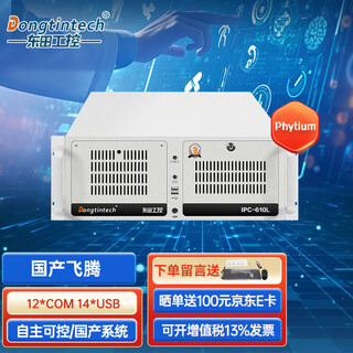 Dongtintech工控机610L机箱国产飞腾服务器D2000硬件软件信息安全智能制造自动化工业4U电脑主机 DT-610L-TD2KMB 8G/128G SSD/X100 4G