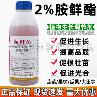 Jianpai 2% ethylamine promotes germination cell division, rooting, strong seedlings and enlarging fruits, stress-resistant growth regulator 500g