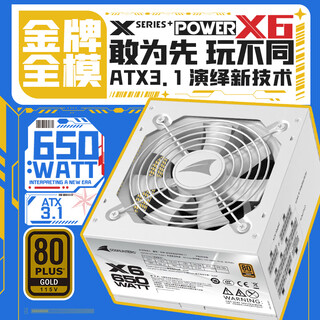 长城（Great Wall）额定650W X6白色金牌全模电脑电源（ATX3.1标准/漏电监测/全电压/温控风扇/长线材/支持5060显卡）