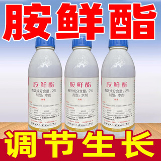 Jianwufeng 2% ammonium ester growth regulator tomato growth regulation ammonium ester ammonium ester regulator pesticide genuine 1000g*12 bottles whole box discount save 20 yuan