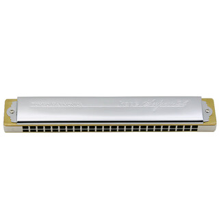 Tongbao Harmonica Official 6624S REST Символы REST и гальваловая металлическая медная сетка для взрослых 24-отверсти