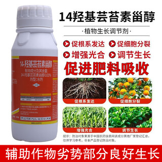 Cui ying ying 14 hydroxy brassinosteroid high content plant growth regulator foliar fertilizer high activity promote flowering, fruit and high yield 500g/bottle 1 bottle