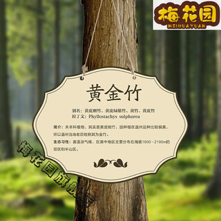 Customized plant sign, flower and grass hanging tree sign, greening tree introduction, acrylic garden sign, 8cm 10cm