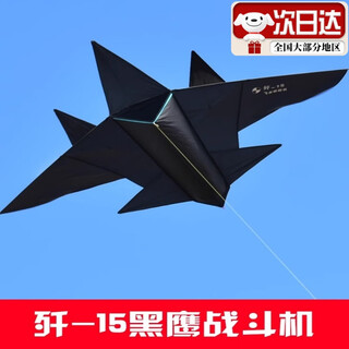 2025新款成人风筝大型导弹飞机风筝儿童卡通黑歼15战斗机高档风筝 【1.7米歼15黑色 +150滚轮】