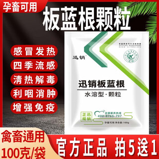 Fast selling veterinary isatis granules pig, beef, sheep, chicken, duck and goose feed additive for clearing away heat, detoxifying, cold, fever, reducing swelling and soothing throat, 10 packs, get 2 packs free (12 packs for real delivery)