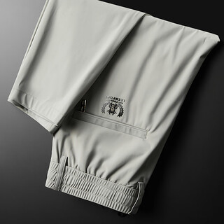 Bestn high-end ice silk pants men's slim casual pants men's summer thin straight pants quick-drying sports pants light gray (1 pair) 36