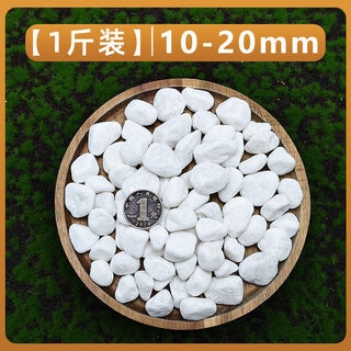 Runhua new year micro landscape white pebbles yuhua stone succulent plant paving stone fish tank flower pot decoration small stones 1jin jin equals 0.5 kg (10-20mm) white pebbles
