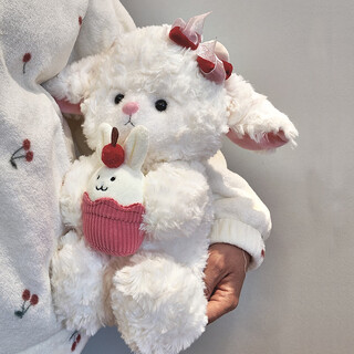 Princess weiwei (weiweigongzhu) lamb doll doll birthday gift for girls and girlfriends christmas gift for girls plush toy rag doll cake sheep 22cm without hood, hair card + gift bag