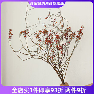 Wen shi ou shan return natural plant dried flower bouquet living room decoration wabi-sabi wind flower arrangement dry branches decorative ornaments dry branches red mountain return short branch 5 dried flowers 45-60cm