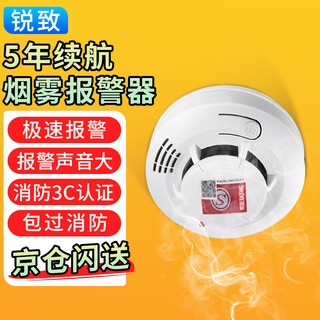 Ruizhi battery model national standard 3c independent smoke sensor alarm smoke detector fire smoke detector standby for about 5 years dk-119