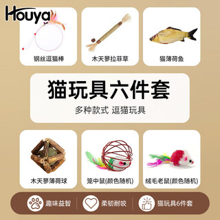 Houya cat toys 6-piece set of self-stimulating and boredom-relieving cat sticks for pets, kittens and young cats, a complete set of cat toys